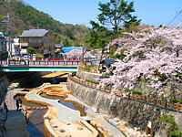 神戸市　有馬温泉の桜スポット / 有馬川親水広場