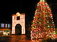 神戸布引ハーブ園古城のクリスマス・ハーブ園のクリスマスイルミネーション
