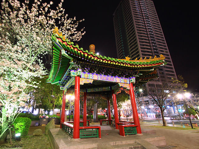 神戸市　生田川公園連翼亭と桜のライトアップ・夜桜