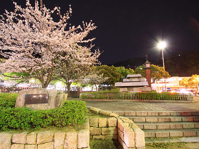 神戸市　生田川公園瀧の廣場と桜のライトアップ・夜桜