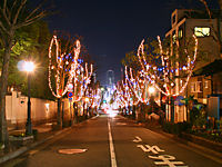 　神戸北野クリスマスストリート・神戸異人館のクリスマスイルミネーション