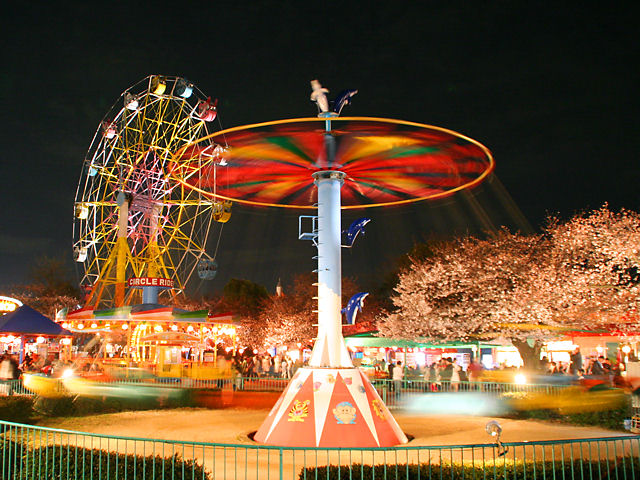 神戸市　王子動物園の夜桜通り抜け・遊園地と桜のライトアップ