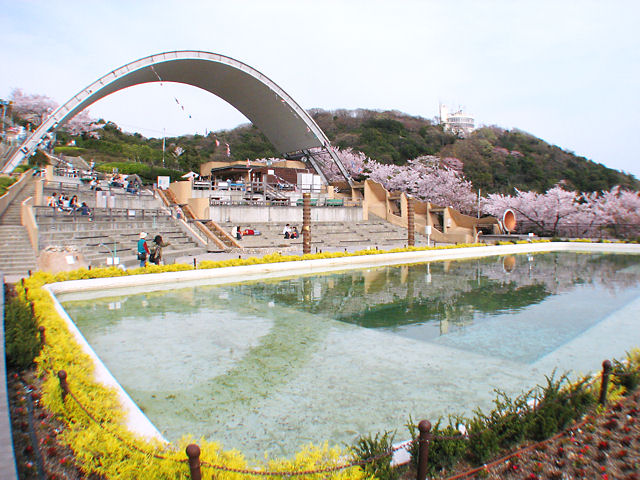 須磨浦山上遊園の桜並木・花見