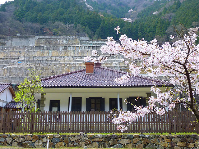朝来市　神子畑選鉱場跡・ムーセ旧居・ムーセハウス写真館の桜、花見、夜桜