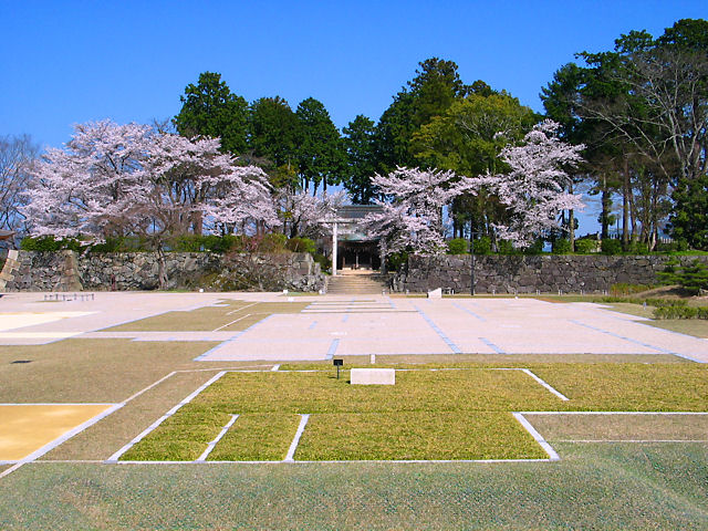 篠山市　篠山城二の丸・本丸跡と青山神社の桜
