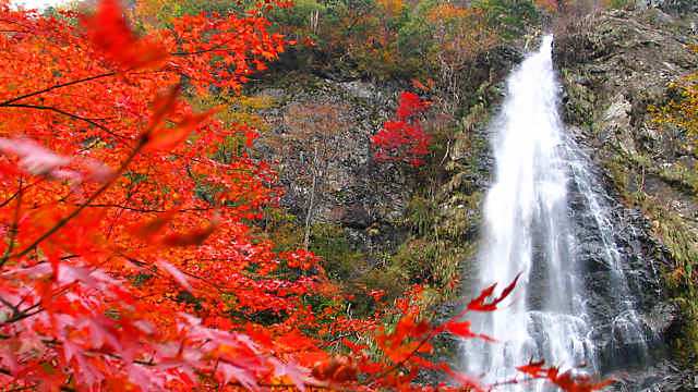 天滝と紅葉