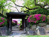 つつじの花と日本庭園